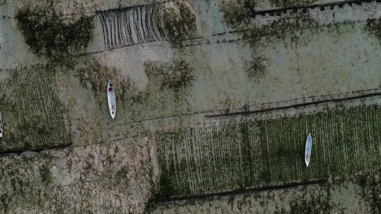 tierras de cultivo con algas marinas y barcos en la superficie del agua