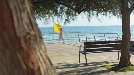 una mujer solitaria disfruta de la costa del océano atlántico, vista desde detrás de un árbol.