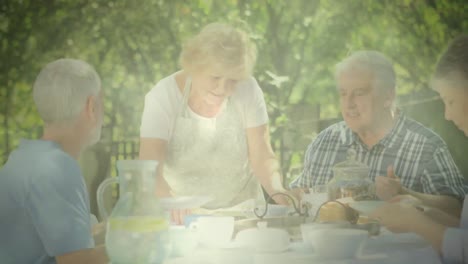 Animation-Von-Leuchtendem-Licht-über-älteren-Menschen,-Die-Im-Garten-Essen