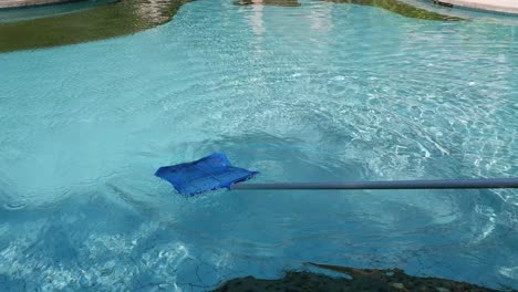 person skimming debris from a swimming pool