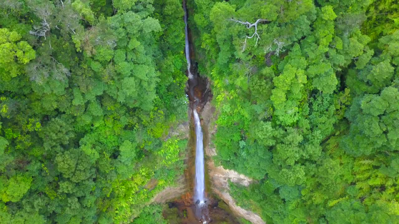 vista aérea estática de la cascada alta en la selva del bosque de sao miguel, azores
