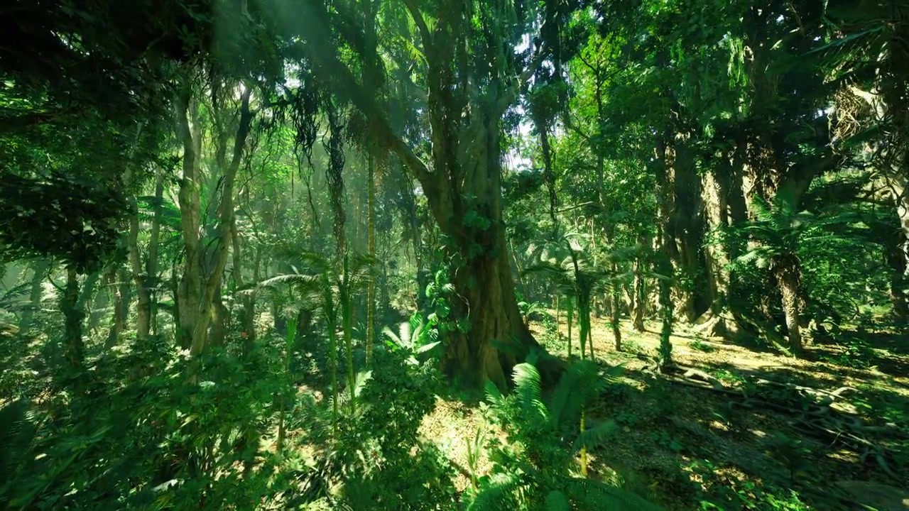 Paisaje forestal sereno; un claro tranquilo de la selva tropical invita a la paz.