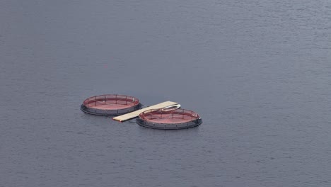 two large circular fish farming tanks float on calm reservoir water, viewed from above in overcast daylight. smooth aerial camera movement reveals isolated aquaculture structures
