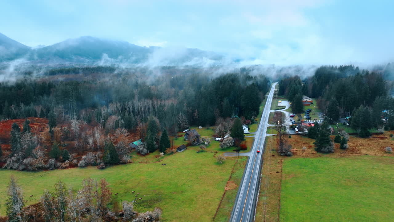 Beautiful woodland aerial shot. Mount Rainier forest landscapes.