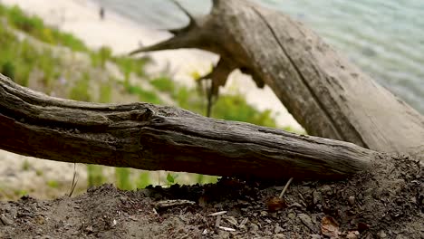 Slow-motion-view-of-seaside-from-clif