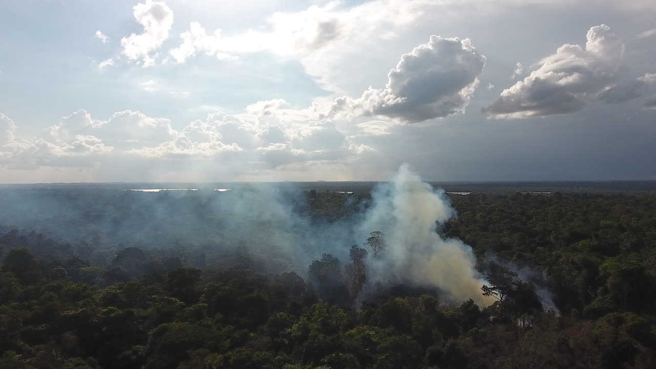 agricultura de corte y quema en guyana. un avión no tripulado cerca disparó sobre una columna de humo.