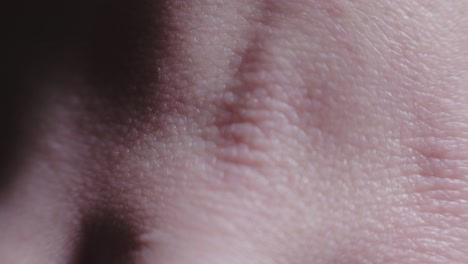 young and supple looking skin of the hand - extreme closeup shot