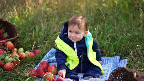 baby boy sitting amongst apples in a grassy field