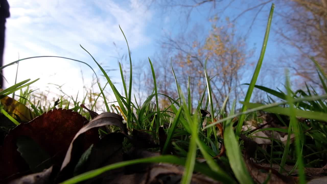 A blurred man person walking in a green grass field with blue sky and staring in deep thought for a moment of relaxation outdoors in rural countryside