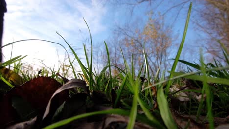 a blurred man person walking in a green grass field with blue sky and staring in deep thought for a moment of relaxation outdoors in rural countryside