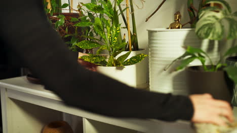 medium shot of blond caucasian woman cleaning the underside of a plant vase with a towel, interior