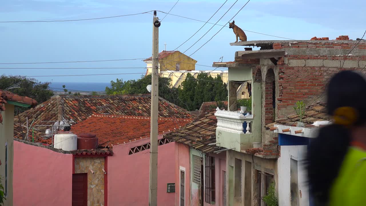 Un cane in cima a un edificio osserva la città di Trinidad, Cuba.