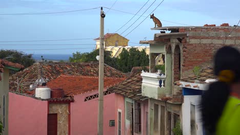 un perro se encuentra en lo alto de un edificio con vistas a la ciudad de trinidad cuba