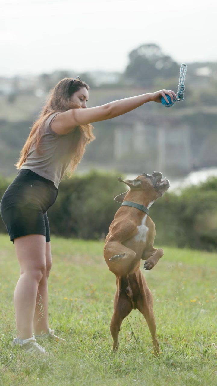 Young Woman Playing with Her Boxer Dog in a Park