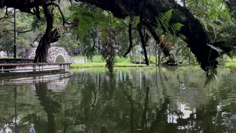 toa payoh parque de la ciudad en un día soleado