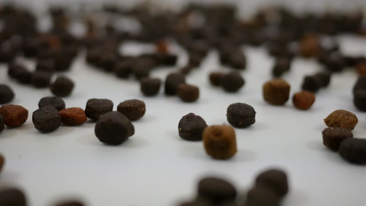 Cibo per cani che ruota su sfondo bianco