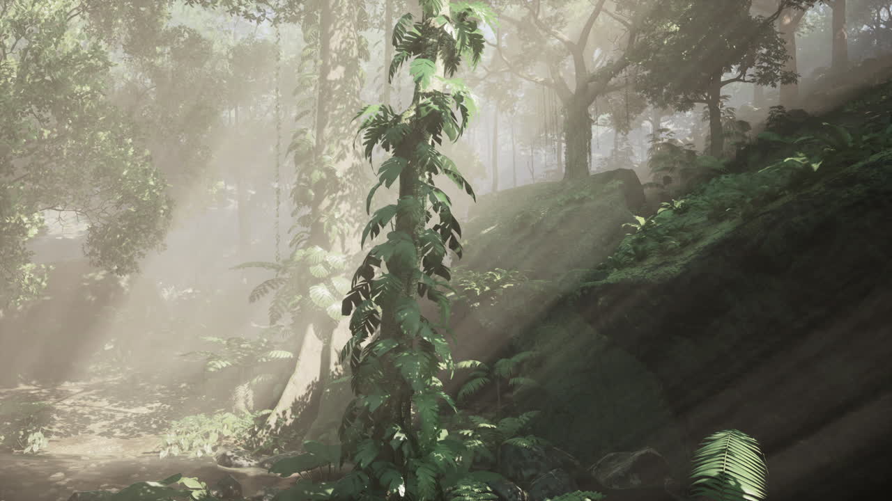 la luz del sol fluye a través de una selva de niebla