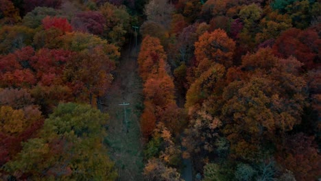 powerlines near a trail in beachwood