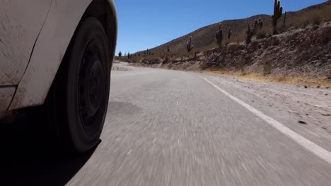 car wheel moving down fast the winding paved road on desert area, with cactus around