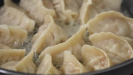 Pan-frying gyoza dumpling jiaozi at home.