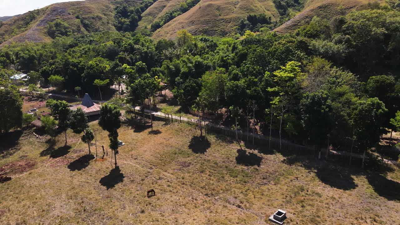 vistas de la naturaleza con árboles en las laderas de las colinas en la isla de sumba, indonesia durante un día soleado