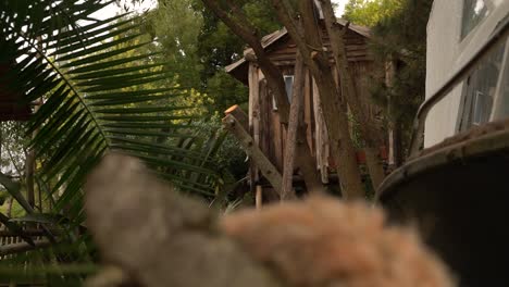 tree house in brazilian jungle