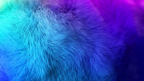 abstract colorful fur texture