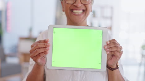 tableta, pantalla verde y manos de mujer de negocios