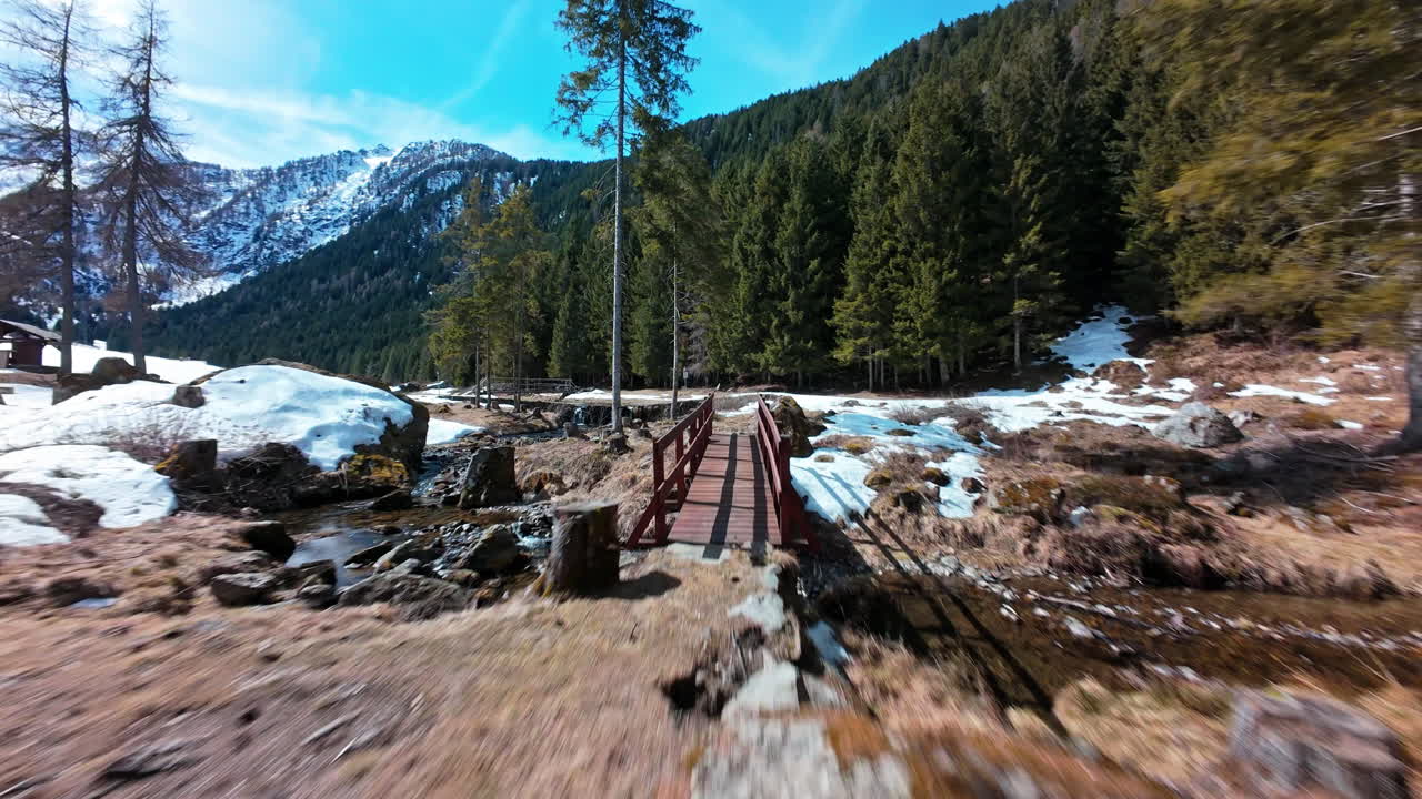 Drone flight over Swiss Alps forest in winter, serenity and nature