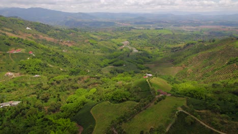 Tropical-coffee-fields-valley-in-the-rural-Colombia