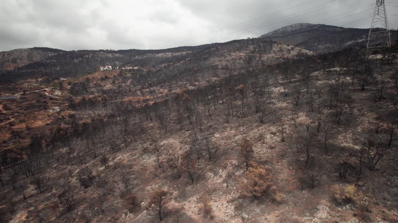 drone asciende sobre la desolada ladera de la montaña después de un incendio forestal, hojas retiradas de los troncos en parnitha grecia
