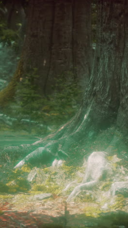 primer plano de las raíces de los árboles en un bosque exuberante