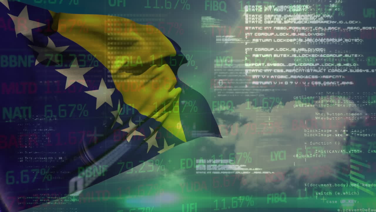 animación del procesamiento de datos sobre la bandera de bosnia y herzegovina