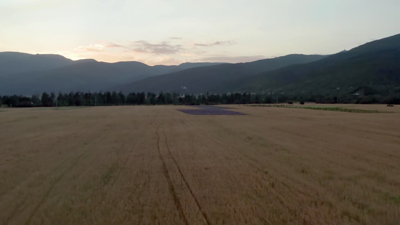 aerial flights to beautiful lavender fields in the Bulgarian valley of Kazanlak