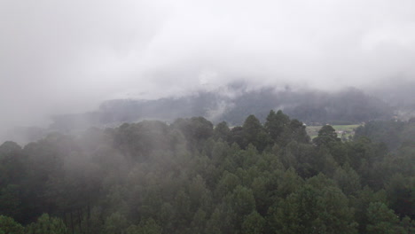 aerial flight through clouds and mist over tall, green trees in valle de bravo, mexico