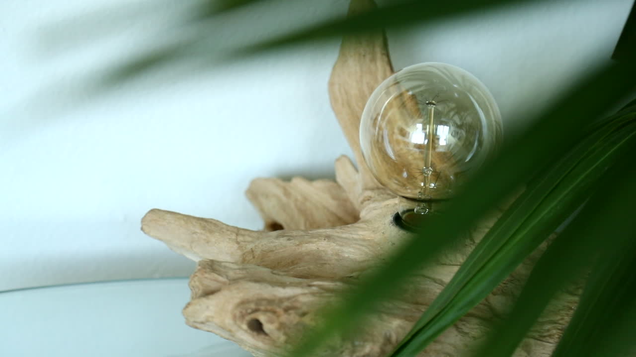 bombilla hecha a mano en madera recuperada vista a través de hojas de palma en un apartamento moderno en santa monica los angeles california