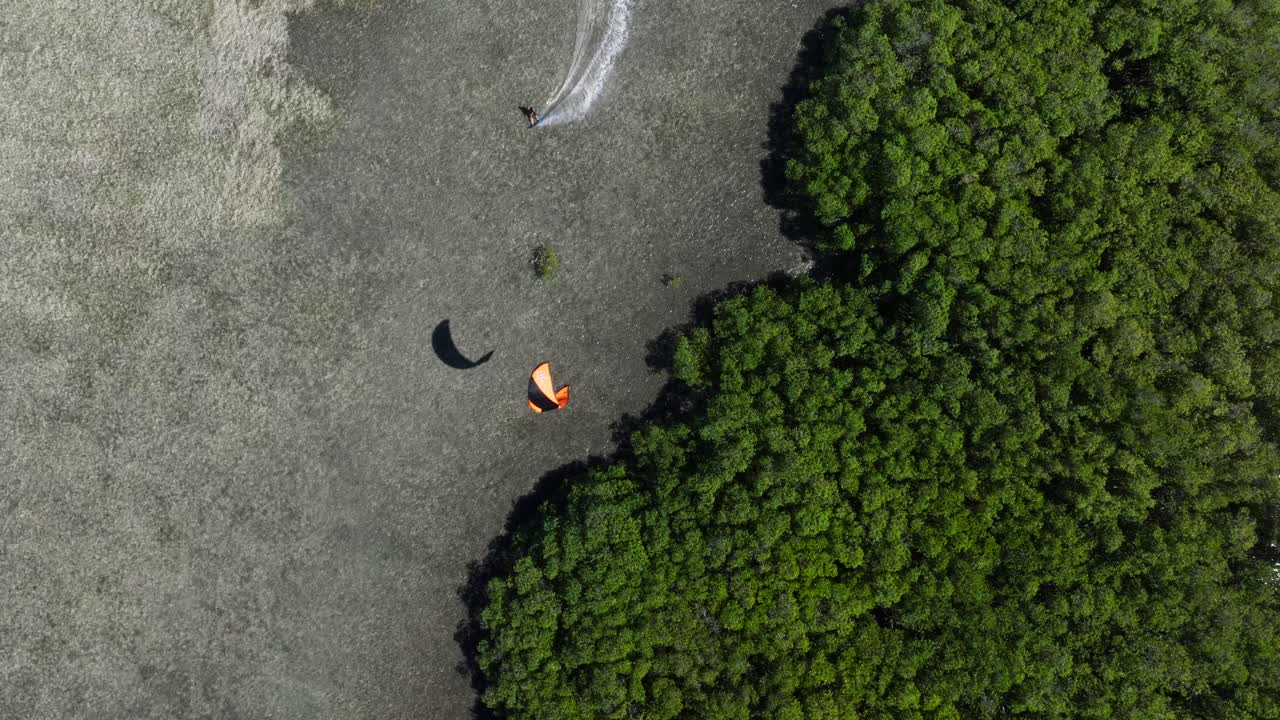 맹그로브 숲에서 카이트보딩