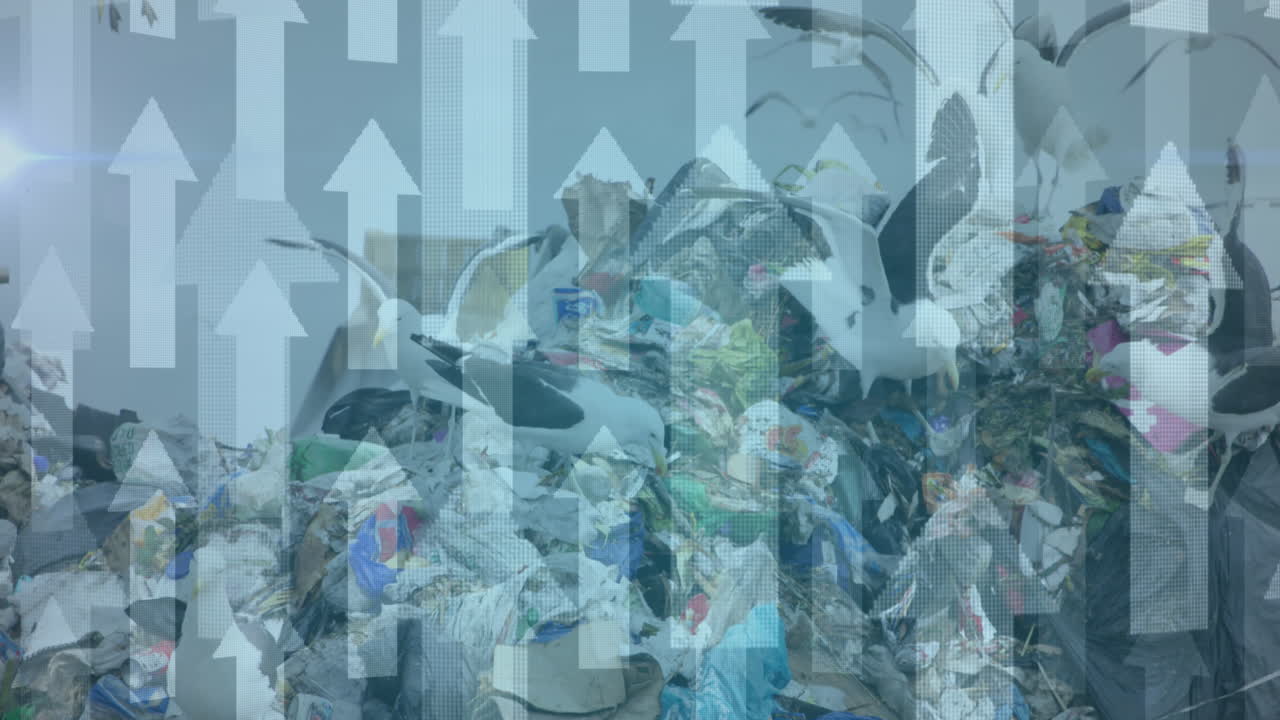 쓰레기 매립장에 올라가는 화살표의 애니메이션