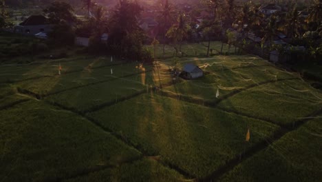 Vista-Aérea-De-La-Puesta-De-Sol-De-Amed-En-Bali-Con-Vistas-A-Un-Sereno-Paisaje-Rural-Bañado-Por-El-Cálido-Resplandor-De-Un-Sol-Poniente,-Capturando-La-Tranquila-Belleza-Del-Campo-Indonesio