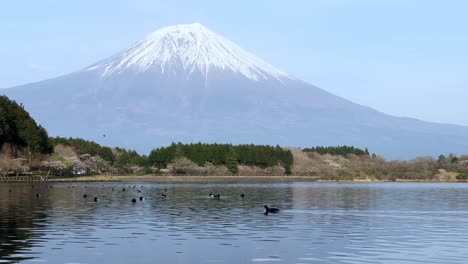 lake tanuki with mount fuji in the background, serene water with birds gliding