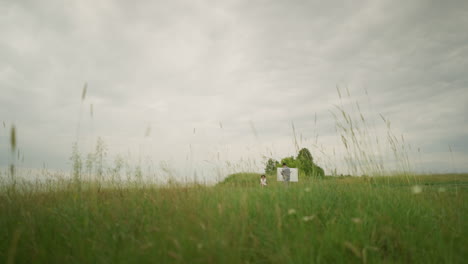 a skilled person wearing a hat and checkered shirt is painting on a board in the middle of a tall grass field under a cloudy sky. a woman sits comfortably on a chair as the camera gradually zooms out