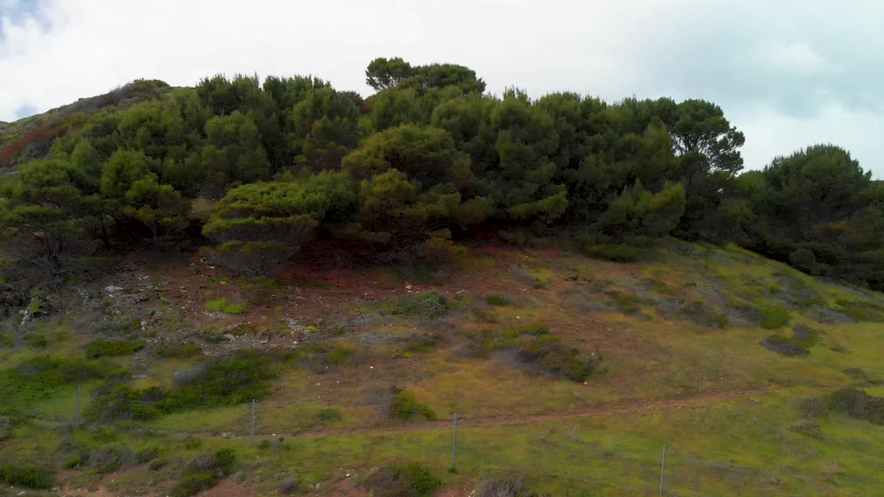 colinas y campo de la isla canguro, australia