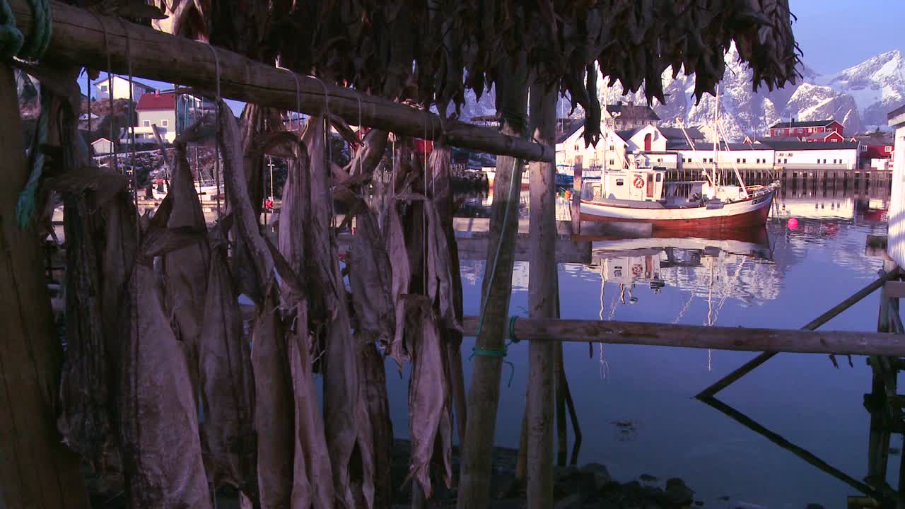 물고기는 노르웨이 로포텐 섬의 나무 선반에 걸려 말리고 있으며 배경 1에는 어선이 있습니다.
