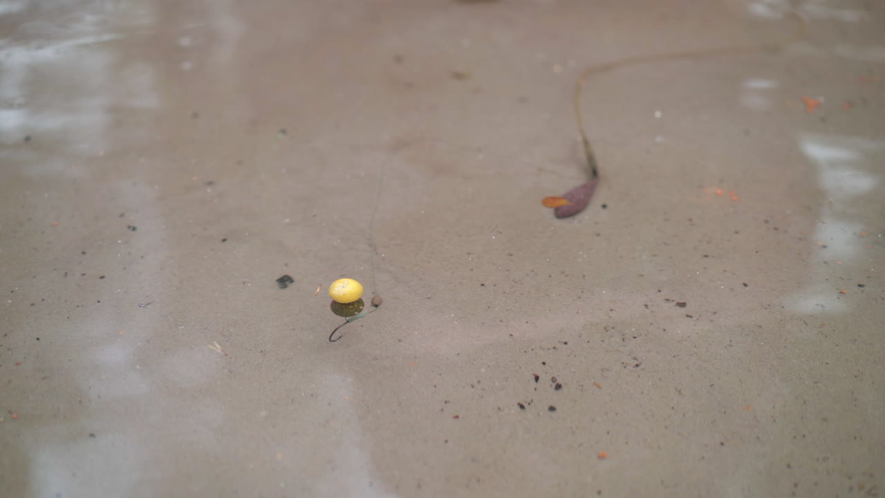 얕은 물에서 낚시꾼의 미끼