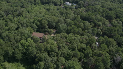 aerial over cape cod houses and woods tilt up to a blue sky