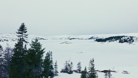 Lago-Congelado-Y-Cordillera-Vista-Desde-Una-Cabaña-Con-Pinos-En-Invierno.