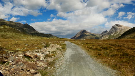 mountain road through alpine meadow