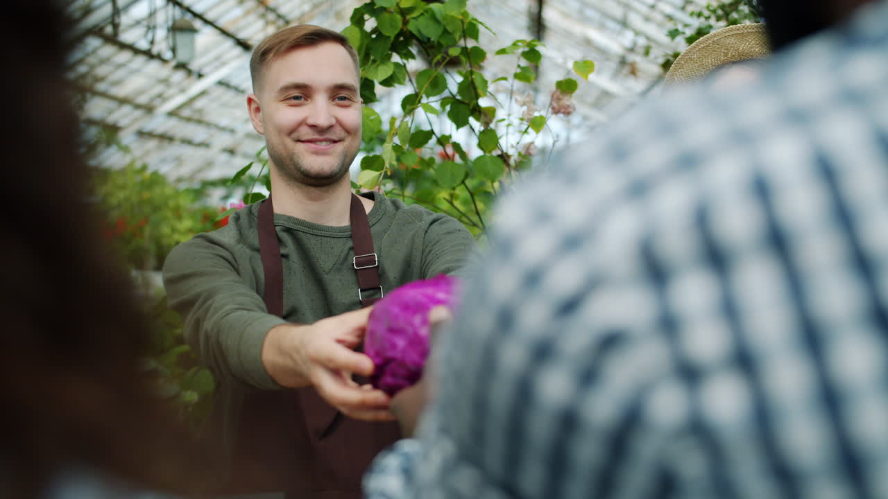 Friendly interaction in a greenhouse