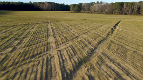 Drone-Volando-A-Baja-Altura-Sobre-El-Campo-Agrícola-En-Invierno