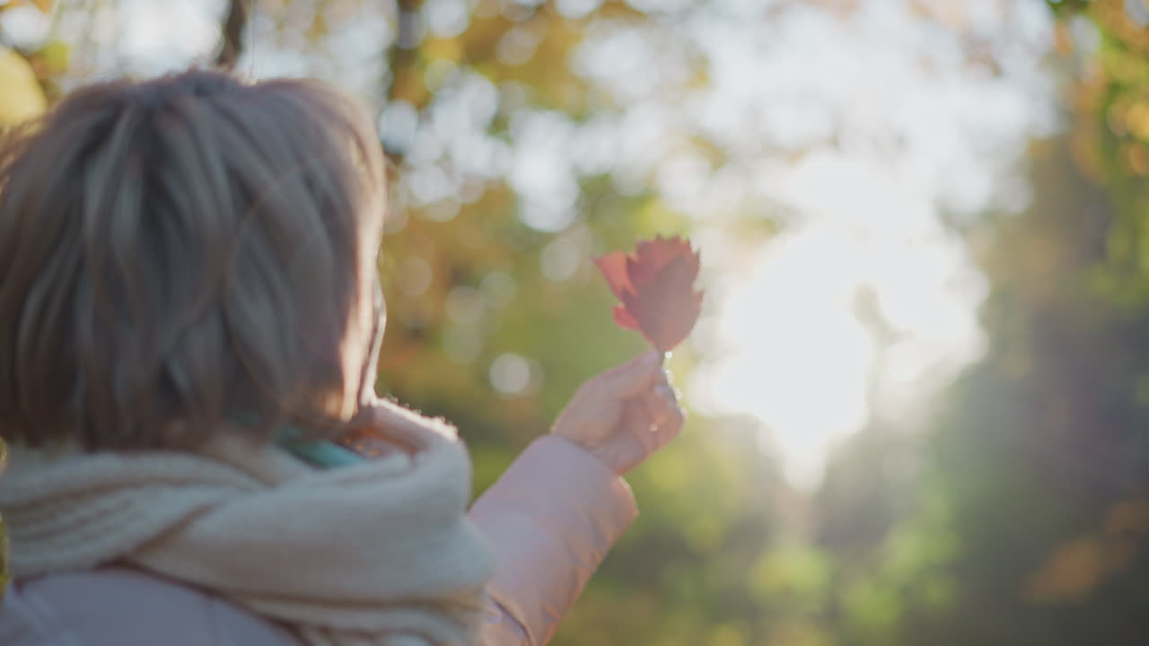 close up of person holding bright red autumn leaf against sunlit forest backdrop, nature lover examining vibrant pattern under warm golden light, gentle breeze rustling surrounding foliage